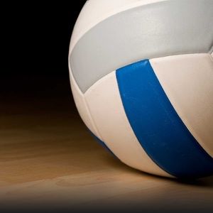 Meet your Posher, Reagan